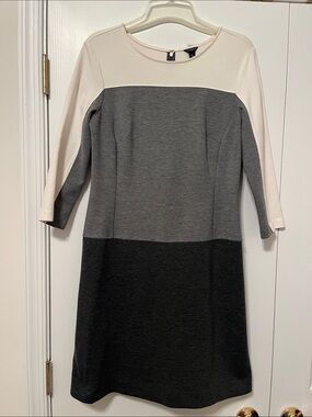 Ann Taylor Dress